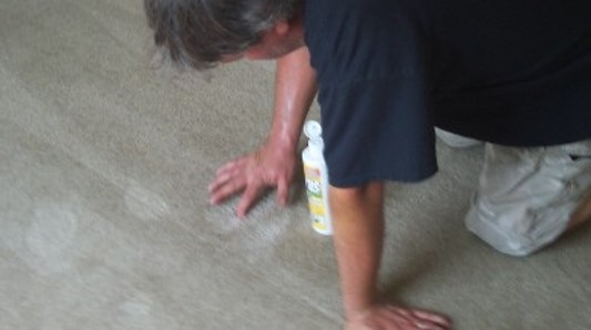 :Cape Coral Carpet Cleaning